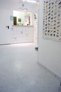 flooring in office for a dog kennel