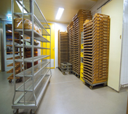Bakery flooring in food storage area.