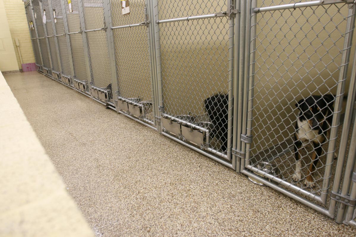 diy indoor dog kennel systems