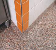 Frozen food flooring shown in flake accents tile wall.