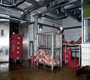 Meat processing plant stays clean with seamless flooring.