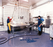 Fish processing workers diligently clean mold resisting floor system with pressured water.