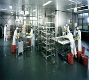 Large open food processing center keeps immaculately clean with shining dark green mold resisting floor design.